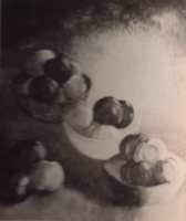 Untitled Photo